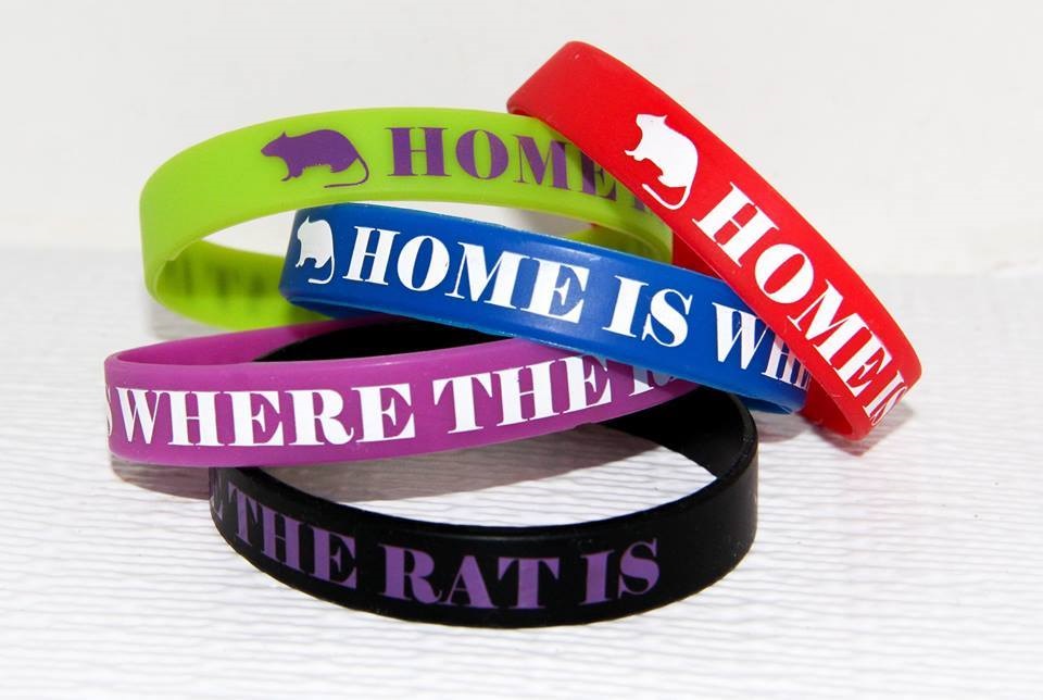 HOME IS WHERE THE RAT IS